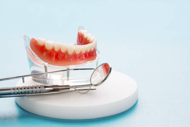 Professional Holistic Dental Care Services in Enderlin, ND